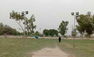 Cricket Pitch Preparation